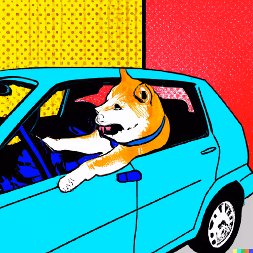 Shiba crashes into the wall