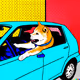 Shiba crashes into the wall