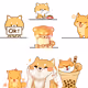 shiba inu 8.i