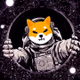 SHIBA INU collection 10 000 LIMITED