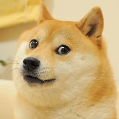 Shiba Inu (Doge)