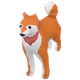 Shiba Inu Galery