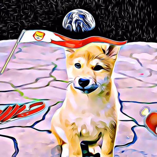 Shiba Inu: Shib, Bone, Leash, Oh My! - old