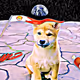 Shiba Inu: Shib, Bone, Leash, Oh My! - old