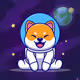 shiba spacedog