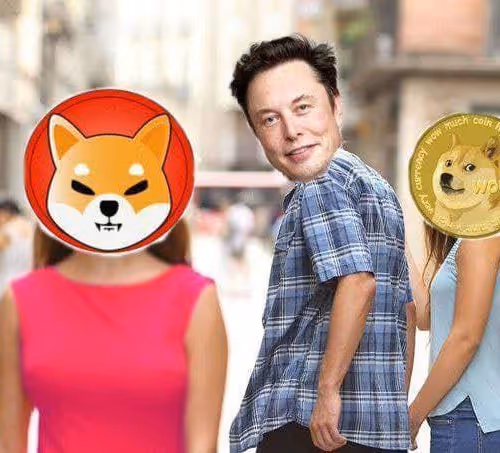 Shiba Legendary Screenshot