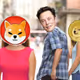 Shiba Legendary Screenshot