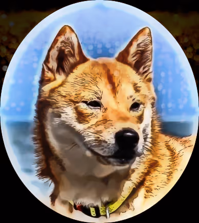 Shiba Inu Art #Tyson