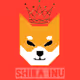 Shiba Inu Art NFT
