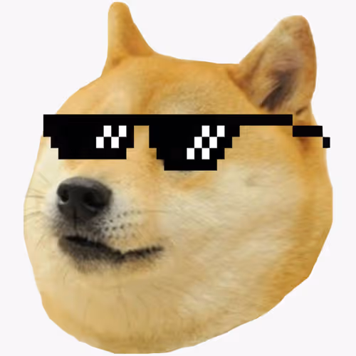 Shiba Inu On Tour