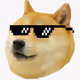 Shiba Inu On Tour