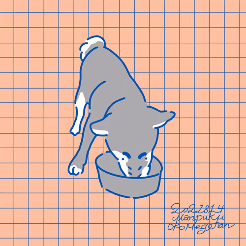 shibapoplife