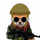 Shib Army_Collection V3