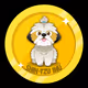 Shih-tzu Inu Cute