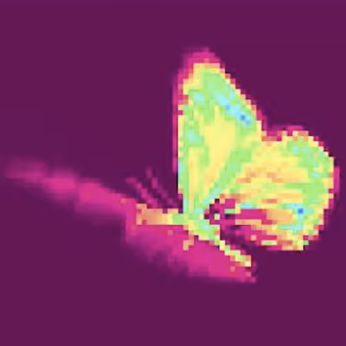 cari ann shim sham's Video Art 2000-2022