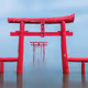 Shinto Verse by C$