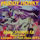 SHINY SHINOLA 5 TRACK EP 5 1/1 ROCK MUSIC NFTs