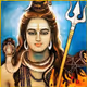 Shiva OM Collection