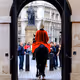 Shoosmith Photography - London
