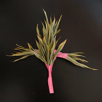 Shoshakuyajiri_backroom - old