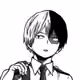 Shoto Todoroki the MasterMind