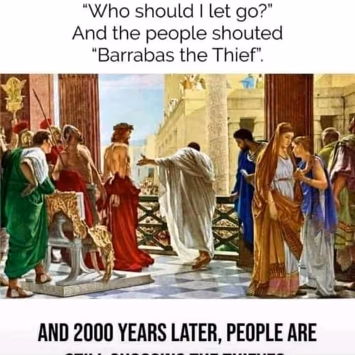 Showafrica Collection #288747134