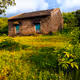 Shutter Farm