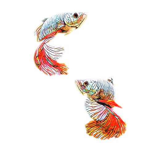 Siamese Fighting Fish Collection - old V2