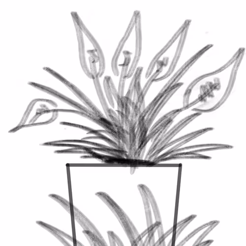 the beautiful side of garbage