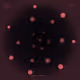 SIGNAL OBJECTS