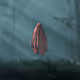 Silent Ghosts
