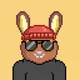 Silent Rabbit