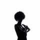 SILHOUETE - old