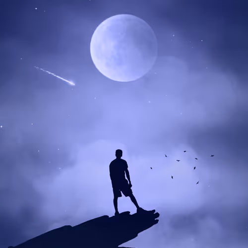 Silhouette