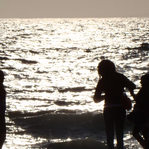 Silhouettes, Shades, Reflections