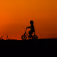 Silhouettes of A Family - old V2