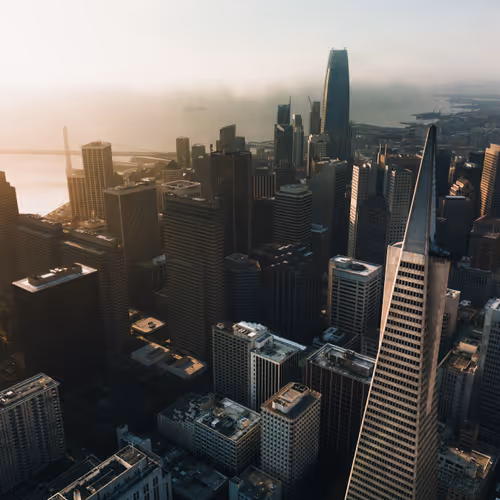 Living Silicon Valley 2020