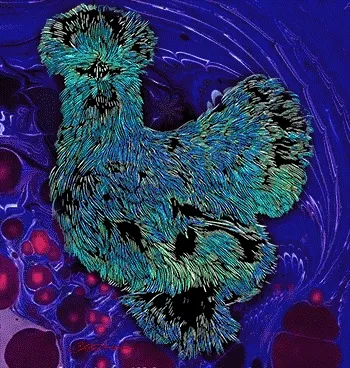Silkies