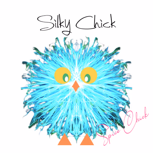 Silky Chick
