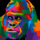 silver rainbow ape