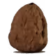 CRYPTO NUTS (The bold nuts!) - old