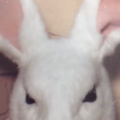 Sinday Services: Easter Sinday.