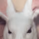 Sinday Services: Easter Sinday.