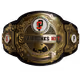 Single Combat Series