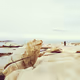 Adventures on Sithonia