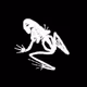 skelefrogs