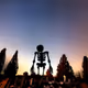 Skeletal Sesh
