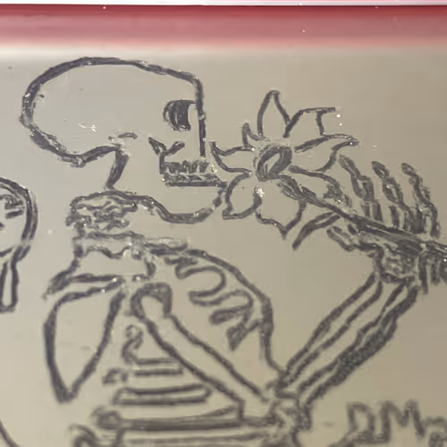 Skeleton EASQ