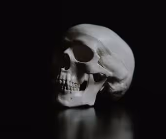 Skeletons of Wisdom - Without Context