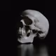 Skeletons of Wisdom - Without Context